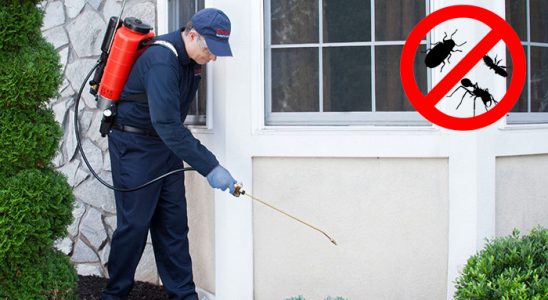 Sındırgı Kemirgen İlaçlama böcek ilaçlama ve haşere kontrolü — ilaclama-tr.com